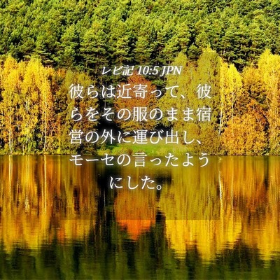 Picture 04 - レビ記 10:5 JPN - 彼らは近寄って、彼らをその服のま - Bible Verse Picture