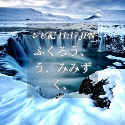 Picture 04 - レビ記 11:17 JPN - ふくろう、う、みみずく、 - Bible Verse Picture