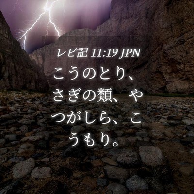Picture 04 - レビ記 11:19 JPN - こうのとり、さぎの類、やつがしら - Bible Verse Picture