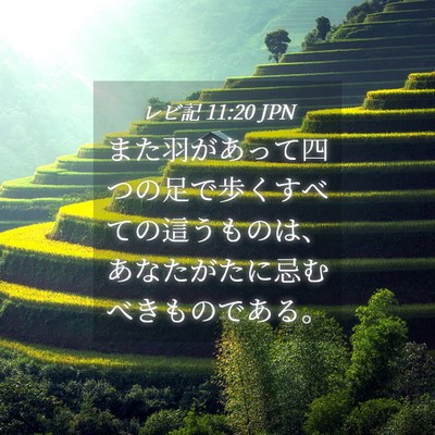 Picture 04 - レビ記 11:20 JPN - また羽があって四つの足で歩くすべ - Bible Verse Picture