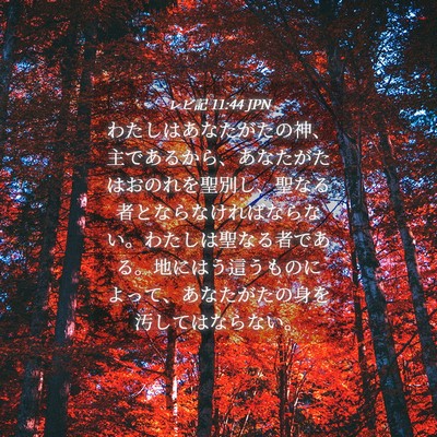 Picture 04 - レビ記 11:44 JPN - わたしはあなたがたの神、主である - Bible Verse Picture