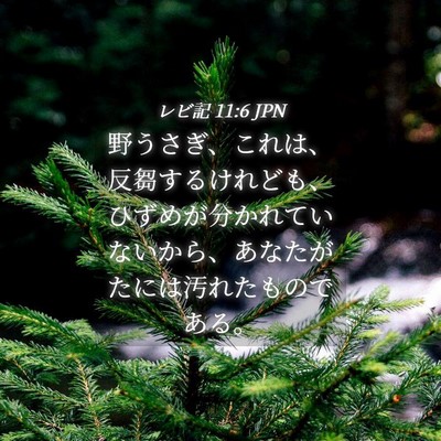 Picture 04 - レビ記 11:6 JPN - 野うさぎ、これは、反芻するけれど - Bible Verse Picture