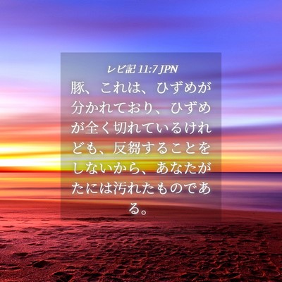 Picture 04 - レビ記 11:7 JPN - 豚、これは、ひずめが分かれており - Bible Verse Picture