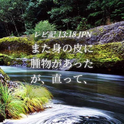 Picture 04 - レビ記 13:18 JPN - また身の皮に腫物があったが、直っ - Bible Verse Picture