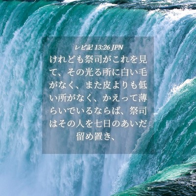 Picture 04 - レビ記 13:26 JPN - けれども祭司がこれを見て、その光 - Bible Verse Picture