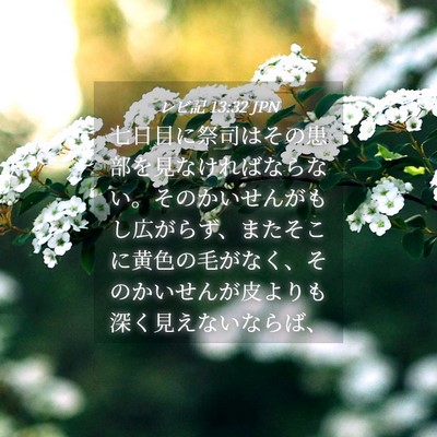 Picture 04 - レビ記 13:32 JPN - 七日目に祭司はその患部を見なけれ - Bible Verse Picture