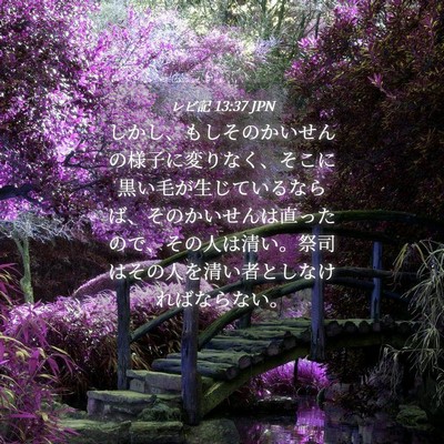 Picture 04 - レビ記 13:37 JPN - しかし、もしそのかいせんの様子に - Bible Verse Picture