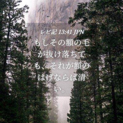 Picture 04 - レビ記 13:41 JPN - もしその額の毛が抜け落ちても、そ - Bible Verse Picture