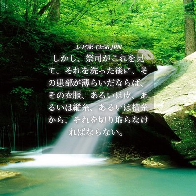 Picture 04 - レビ記 13:56 JPN - しかし、祭司がこれを見て、それを - Bible Verse Picture