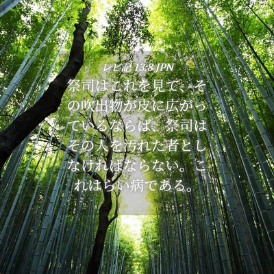 Picture 04 - レビ記 13:8 JPN - 祭司はこれを見て、その吹出物が皮 - Bible Verse Picture