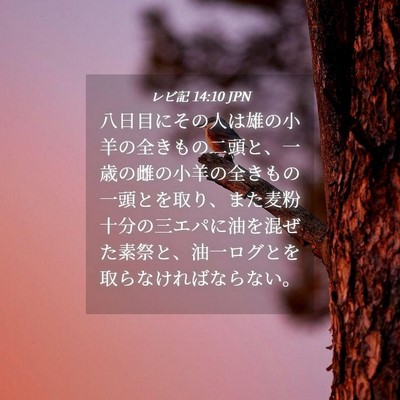Picture 04 - レビ記 14:10 JPN - 八日目にその人は雄の小羊の全きも - Bible Verse Picture