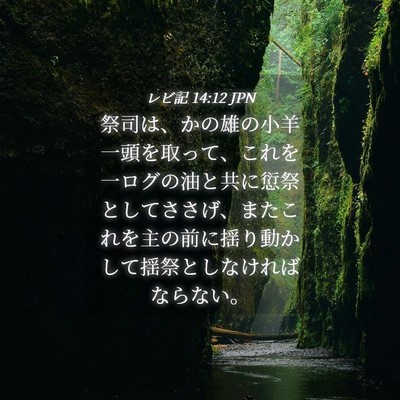 Picture 04 - レビ記 14:12 JPN - 祭司は、かの雄の小羊一頭を取って - Bible Verse Picture