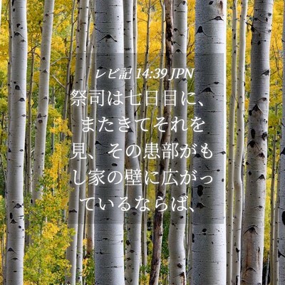 Picture 04 - レビ記 14:39 JPN - 祭司は七日目に、またきてそれを見 - Bible Verse Picture