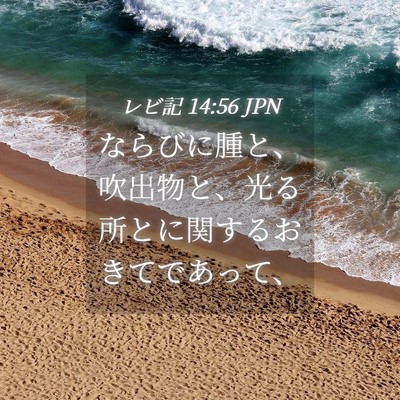 Picture 04 - レビ記 14:56 JPN - ならびに腫と、吹出物と、光る所と - Bible Verse Picture