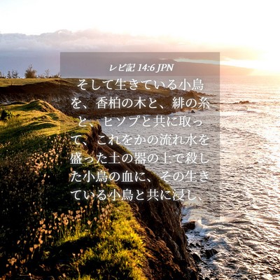 Picture 04 - レビ記 14:6 JPN - そして生きている小鳥を、香柏の木 - Bible Verse Picture