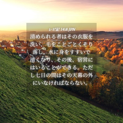 Picture 04 - レビ記 14:8 JPN - 清められる者はその衣服を洗い、毛 - Bible Verse Picture