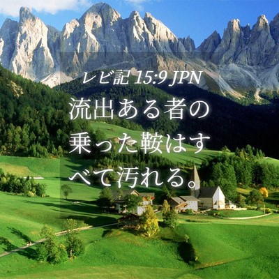 Picture 04 - レビ記 15:9 JPN - 流出ある者の乗った鞍はすべて汚れ - Bible Verse Picture