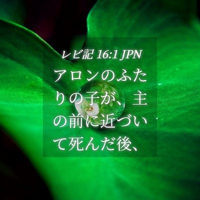 Picture 04 - レビ記 16:1 JPN - アロンのふたりの子が、主の前に近 - Bible Verse Picture