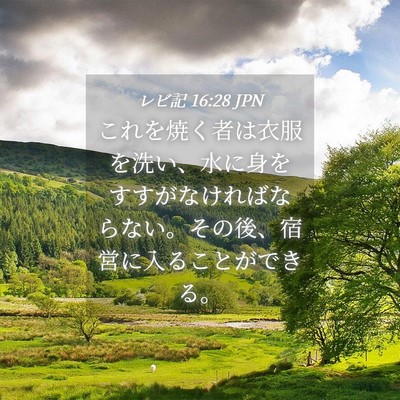 Picture 04 - レビ記 16:28 JPN - これを焼く者は衣服を洗い、水に身 - Bible Verse Picture