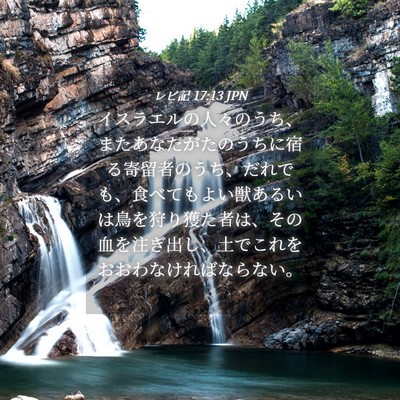 Picture 04 - レビ記 17:13 JPN - イスラエルの人々のうち、またあな - Bible Verse Picture