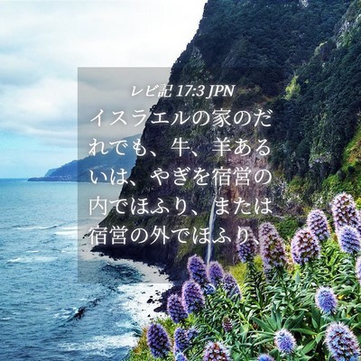 Picture 04 - レビ記 17:3 JPN - イスラエルの家のだれでも、牛、羊 - Bible Verse Picture