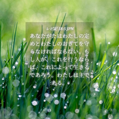Picture 04 - レビ記 18:5 JPN - あなたがたはわたしの定めとわたし - Bible Verse Picture