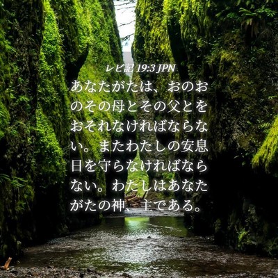 Picture 04 - レビ記 19:3 JPN - あなたがたは、おのおのその母とそ - Bible Verse Picture