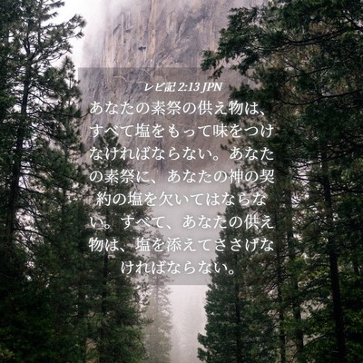Picture 04 - レビ記 2:13 JPN - あなたの素祭の供え物は、すべて塩 - Bible Verse Picture