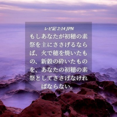 Picture 04 - レビ記 2:14 JPN - もしあなたが初穂の素祭を主にささ - Bible Verse Picture