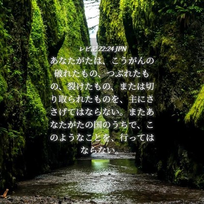 Picture 04 - レビ記 22:24 JPN - あなたがたは、こうがんの破れたも - Bible Verse Picture