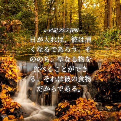 Picture 04 - レビ記 22:7 JPN - 日が入れば、彼は清くなるであろう - Bible Verse Picture