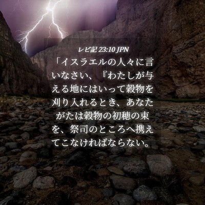 Picture 04 - レビ記 23:10 JPN - 「イスラエルの人々に言いなさい、 - Bible Verse Picture