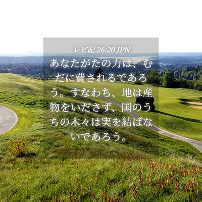 Picture 04 - レビ記 26:20 JPN - あなたがたの力は、むだに費される - Bible Verse Picture