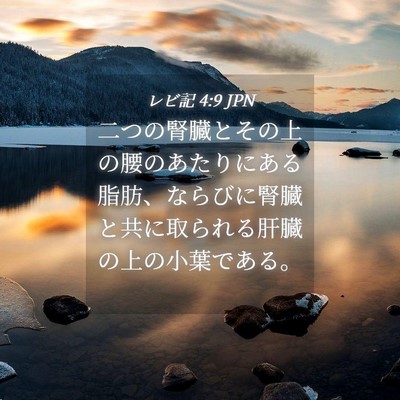 Picture 04 - レビ記 4:9 JPN - 二つの腎臓とその上の腰のあたりに - Bible Verse Picture