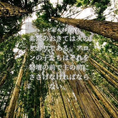 Picture 04 - レビ記 6:14 JPN - 素祭のおきては次のとおりである。 - Bible Verse Picture