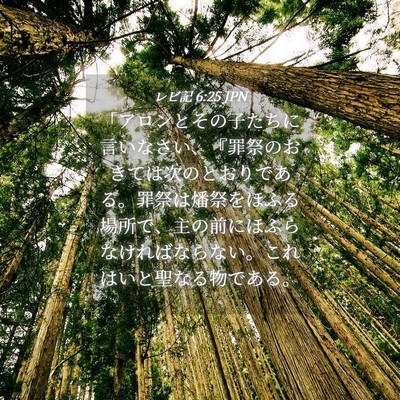 Picture 04 - レビ記 6:25 JPN - 「アロンとその子たちに言いなさい - Bible Verse Picture