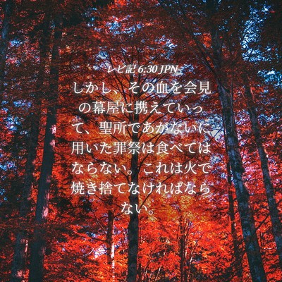 Picture 04 - レビ記 6:30 JPN - しかし、その血を会見の幕屋に携え - Bible Verse Picture