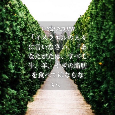 Picture 04 - レビ記 7:23 JPN - 「イスラエルの人々に言いなさい、 - Bible Verse Picture
