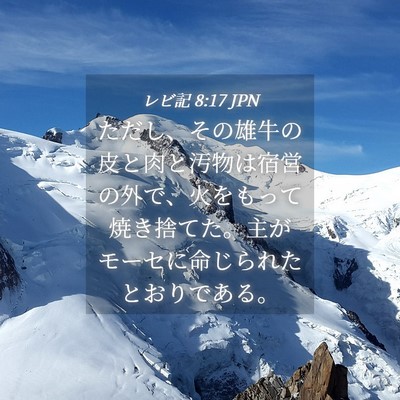 Picture 04 - レビ記 8:17 JPN - ただし、その雄牛の皮と肉と汚物は - Bible Verse Picture