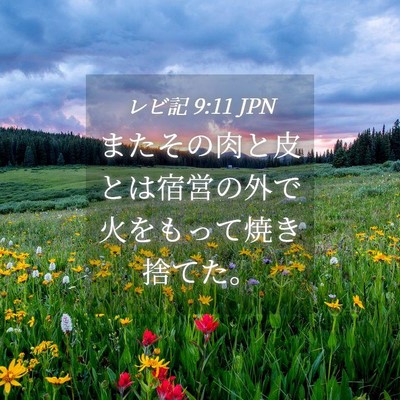 Picture 04 - レビ記 9:11 JPN - またその肉と皮とは宿営の外で火を - Bible Verse Picture
