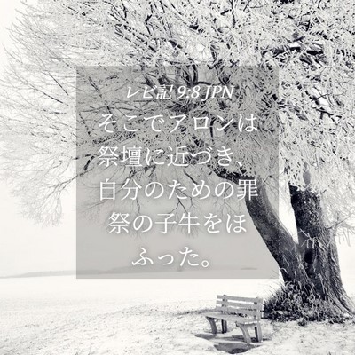Picture 04 - レビ記 9:8 JPN - そこでアロンは祭壇に近づき、自分 - Bible Verse Picture