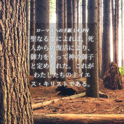 Picture 04 - ローマ人への手紙 1:4 JPN - 聖なる霊によれば、死人からの復活 - Bible Verse Picture