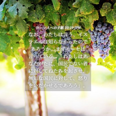 Picture 04 - ローマ人への手紙 10:19 JPN - なお、わたしは言う、イスラエルは - Bible Verse Picture