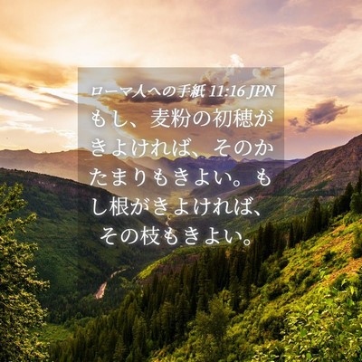 Picture 04 - ローマ人への手紙 11:16 JPN - もし、麦粉の初穂がきよければ、そ - Bible Verse Picture