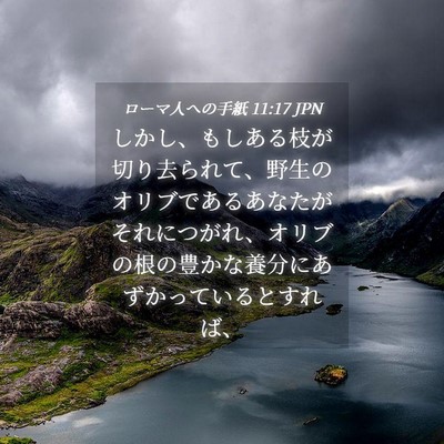 Picture 04 - ローマ人への手紙 11:17 JPN - しかし、もしある枝が切り去られて - Bible Verse Picture