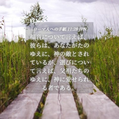 Picture 04 - ローマ人への手紙 11:28 JPN - 福音について言えば、彼らは、あな - Bible Verse Picture