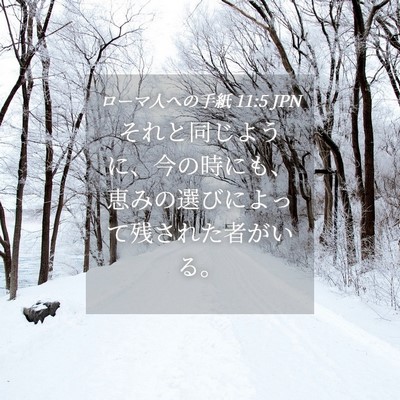 Picture 04 - ローマ人への手紙 11:5 JPN - それと同じように、今の時にも、恵 - Bible Verse Picture