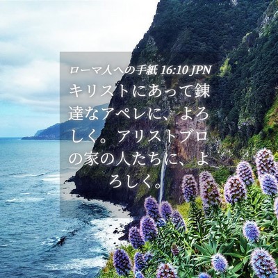 Picture 04 - ローマ人への手紙 16:10 JPN - キリストにあって錬達なアペレに、 - Bible Verse Picture