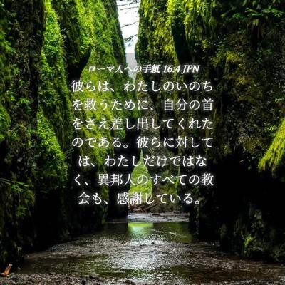 Picture 04 - ローマ人への手紙 16:4 JPN - 彼らは、わたしのいのちを救うため - Bible Verse Picture