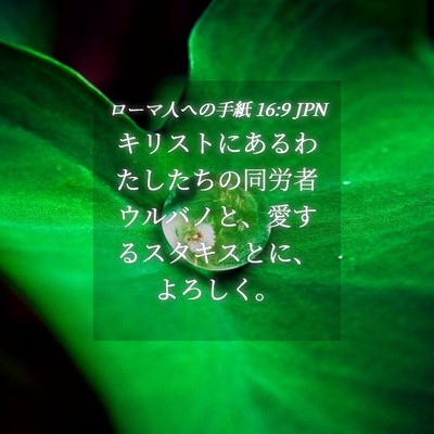 Picture 04 - ローマ人への手紙 16:9 JPN - キリストにあるわたしたちの同労者 - Bible Verse Picture